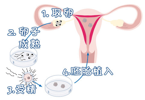 苏主任医师